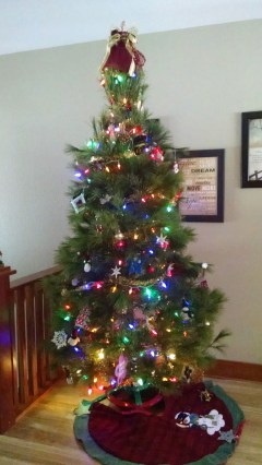 IMG_20151226_125850093