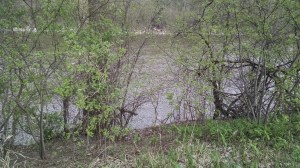 IMG_20160420_100034375