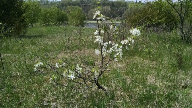 IMG_20160423_142351962