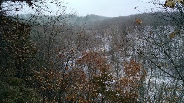 Pics from Camera 2-8-2015 300