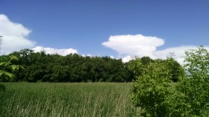 IMG_20160529_151609782