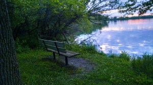 sitting-in-the-sunset
